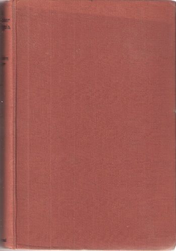Image for A Fossicker in Angola