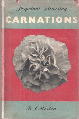 Image for Perpetual Flowering Carnations
