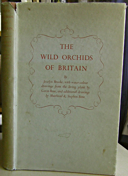 Image for The Wild Orchids of Britain