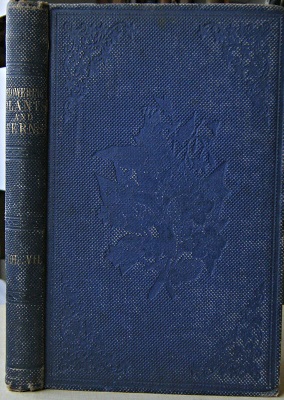Image for The British Grasses and Sedges