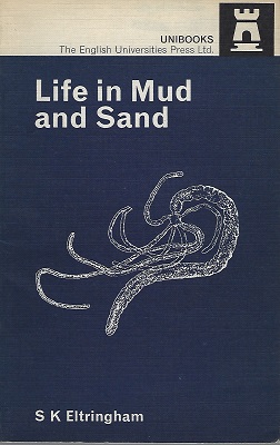 Image for Life in Mud and Sand