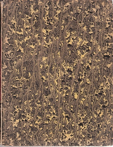 Image for Genera Graminum. Agrostidea. I, Vilfea