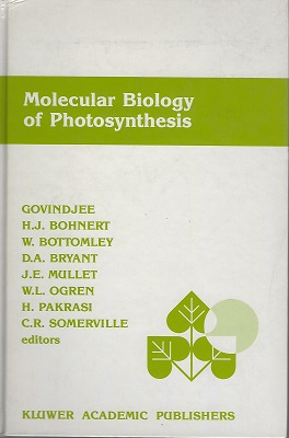 Image for Molecular Biology of Photosynthesis