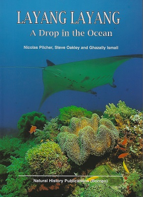Image for Layang Layang - a Drop in the Ocean