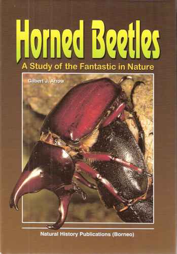 Image for Horned Beetles - a study of the fantastic in nature.