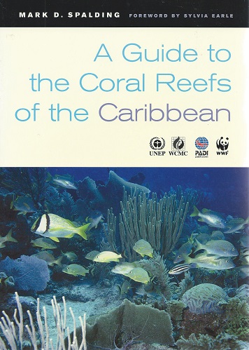 Image for A Guide to the Coral Reefs of the Caribbean