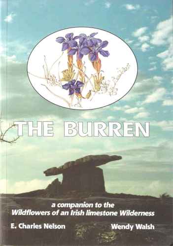 The Burren - a Companion to the Wildflowers of an Irish Limestone Wilderness