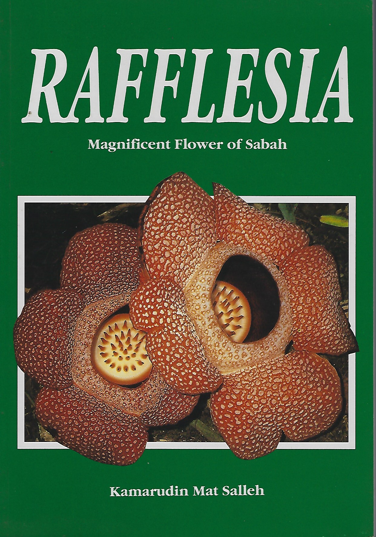 Rafflesia - Magnificent Flower of Sabah Image for Rafflesia - Magnificent Flower of Sabah