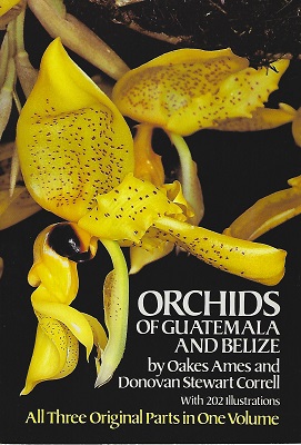 Image for Orchids of Guatemala and Belize