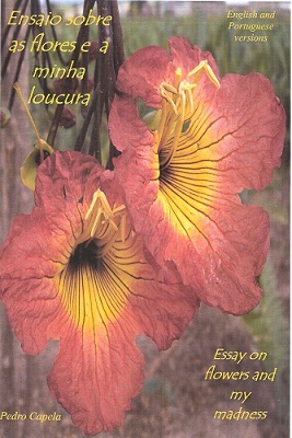 Image for Essay on Flowers and My Madness (Ensaio sobre as flores e a minha loucura)