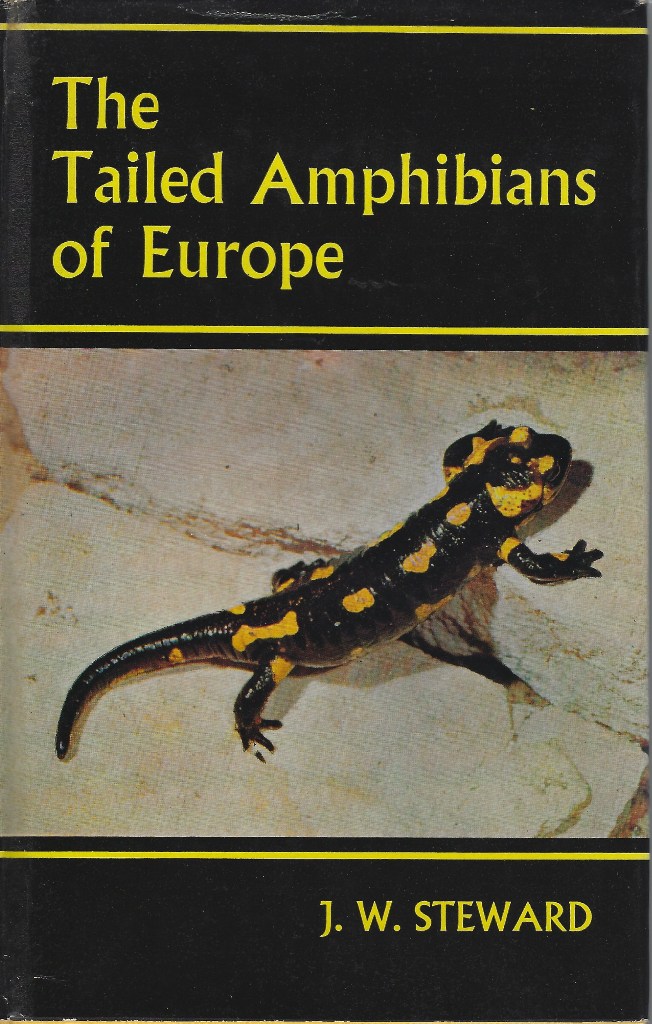 Image for The Tailed Amphibians of Europe