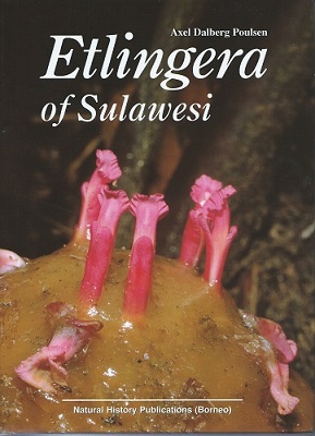 Image for Etlingera of Sulawesi