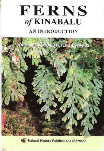 Image for Ferns of Kinabalu - an introduction