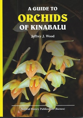 Image for A Guide to Orchids of Kinabalu