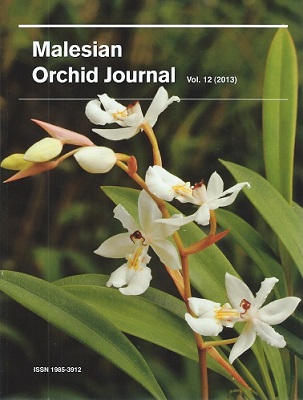 Image for Malesian Orchid Journal Volume 12