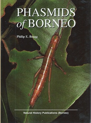 Image for Phasmids of Borneo