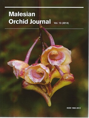 Image for Malesian Orchid Journal Volume 13