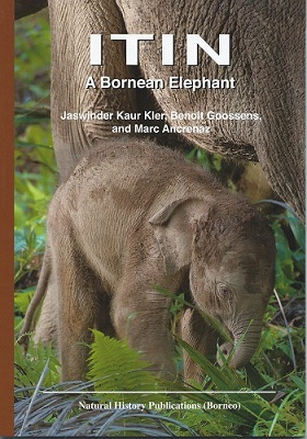 Image for Itin - A Bornean Elephant