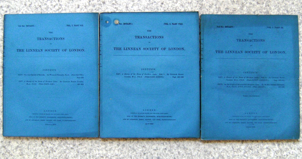 Image for A Review of the Ferns of Northern India