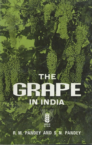 The Grape in India Image for The Grape in India