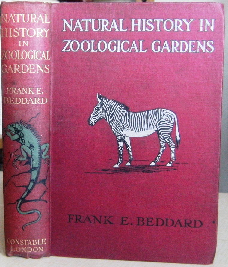 Image for Natural History in Zoological Gardens, being some account ov vertebrated animals, with special reference to those usually to be seen in the Zoological Society's Gardens in London and similar institutions