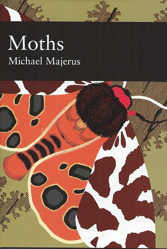 Image for Moths