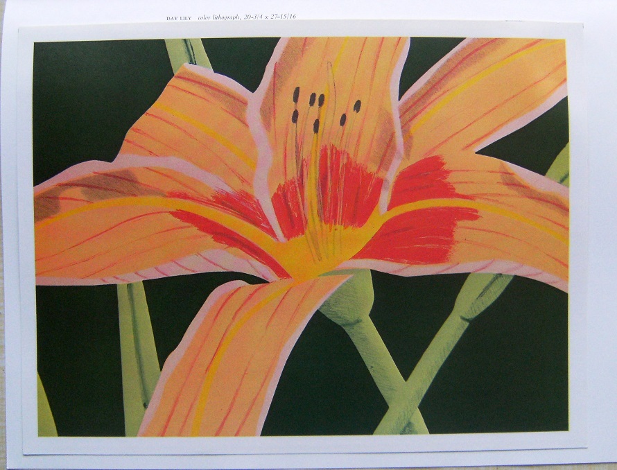 Image for A Northeast Folio, produced to accompany an exhibition of works by contemporary botanical printmakers at the Hunt Institute