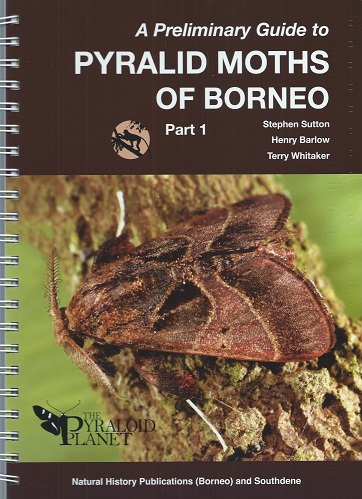Image for A Preliminary Guide to the Pyralid Moths of Borneo, Part 1: Thyridoidea and Pyraloidea: Pyralidae