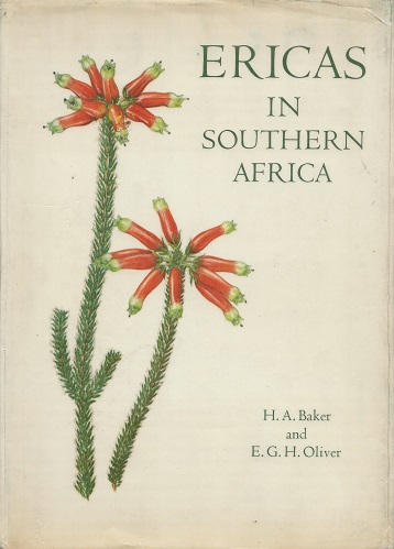 Image for Ericas in Southern Africa