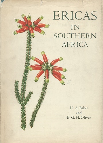 Image for Ericas in Southern Africa