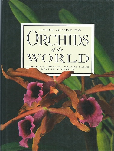 Image for Letts Guide to Orchids of the World