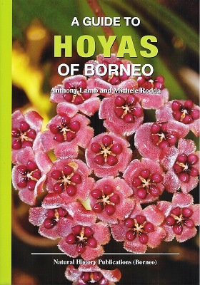 Image for A Guide to Hoyas of Borneo
