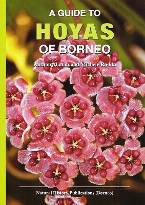 Image for A Guide to Hoyas of Borneo