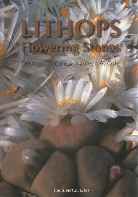 Image for Lithops - Flowering Stones