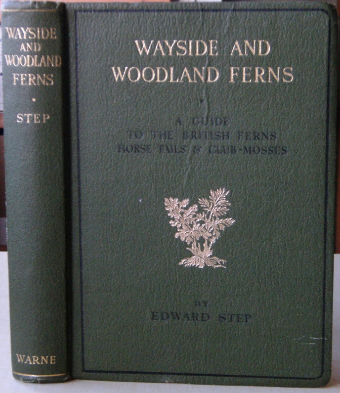 Jungle Trees of Central India a field guide for tree spotters