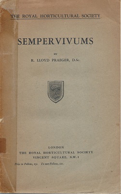 Image for An Account of the Sempervivum Group