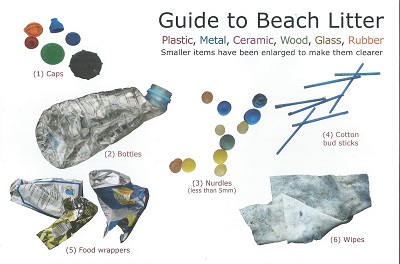 Image for Guide to Beach Litter