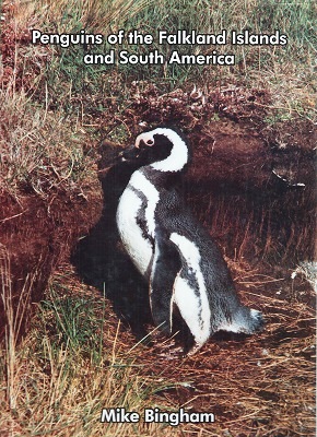 Image for Penguins of the Falkland Islands and South America