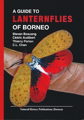 Image for A Guide to Lanternflies of Borneo