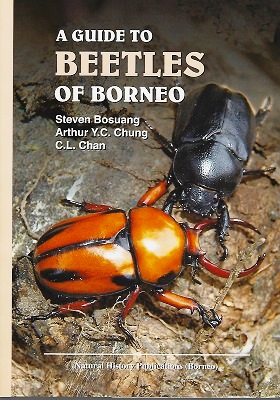 Image for A Guide to the Beetles of Borneo