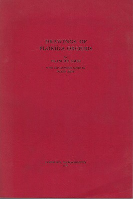 Image for Drawings of Florida Orchids