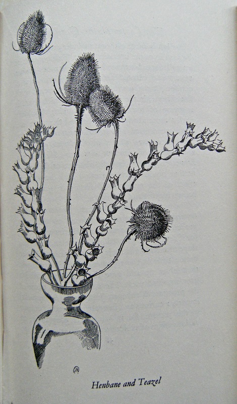 Image for The Contemplative Gardener.