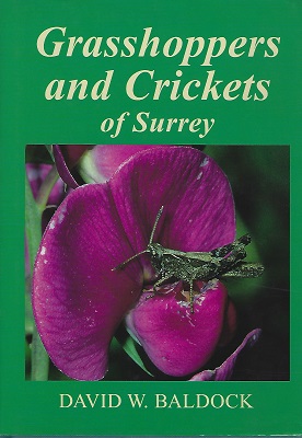 Image for Grasshoppers and Crickets of Surrey