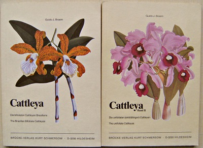 Image for Cattleya - The Brazilian Bifoliate Cattleyas (Die bifoliaten Cattleyen Brasiliens) 2 volumes