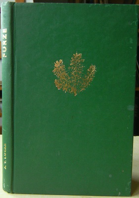 Image for Furze - A Survey and History of its Uses in Ireland