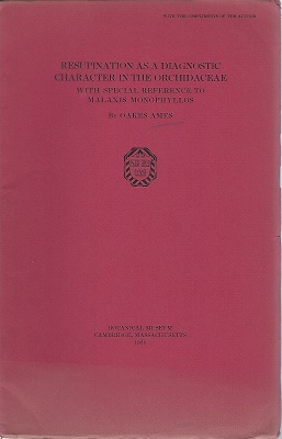 Resupination as a Diagnostic Character in the Orchidaceae, with special reference to Malaxis monophyllos Image for Resupination as a Diagnostic Character in the Orchidaceae, with special reference to Malaxis monophyllos