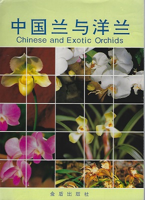 Chinese and Exotic Orchids Image for Chinese and Exotic Orchids