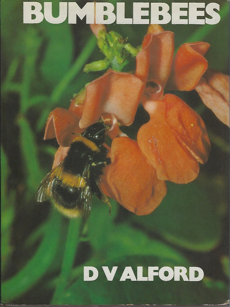 Image for Bumblebees