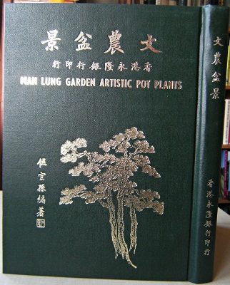 Image for Man Lung Garden Artistic Pot Plants