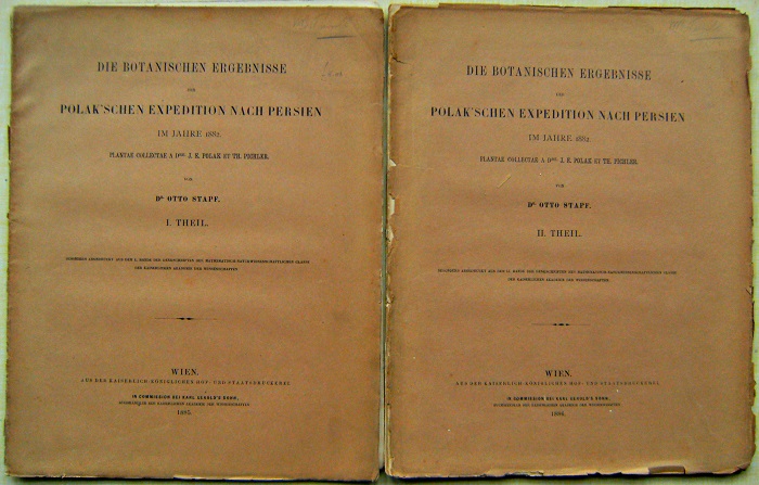 Image for Die botanischen Ergebnisse der Polak'schen Expedition nach Persien im Jahre 1882 : plantae collectae a Dre. J. E. Polak et Th. Pichler